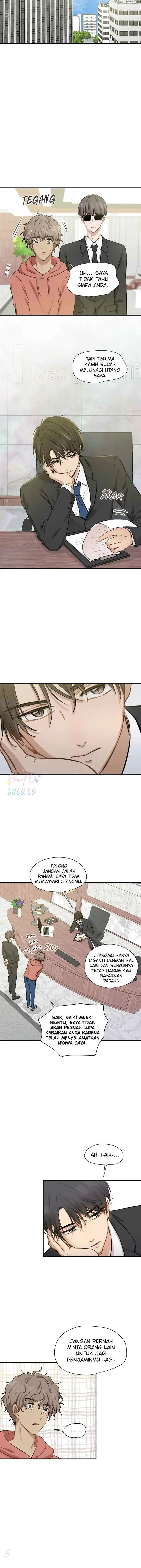 Just for a Meowment chapter 51 halaman 5