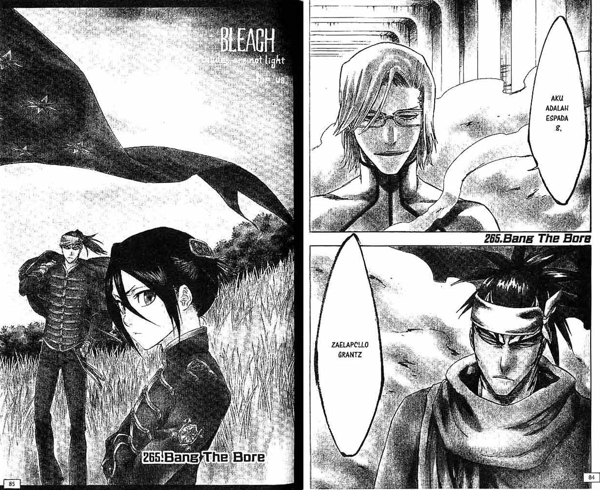 Bleach chapter 30 halaman 43