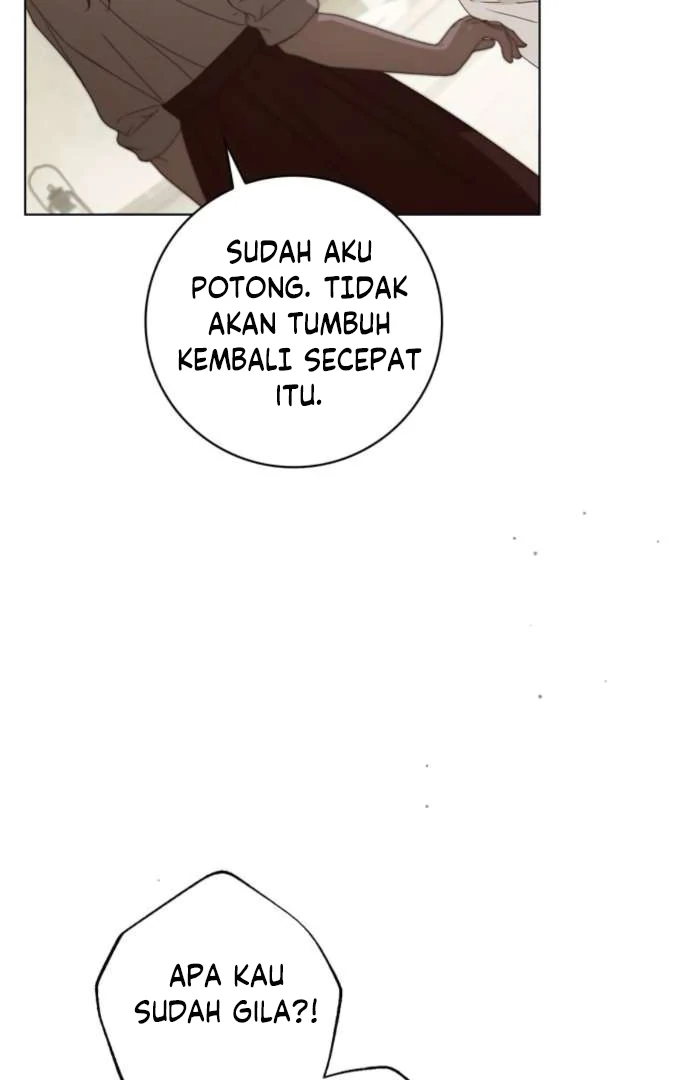 The Count's Secret Maid chapter 53 halaman 39