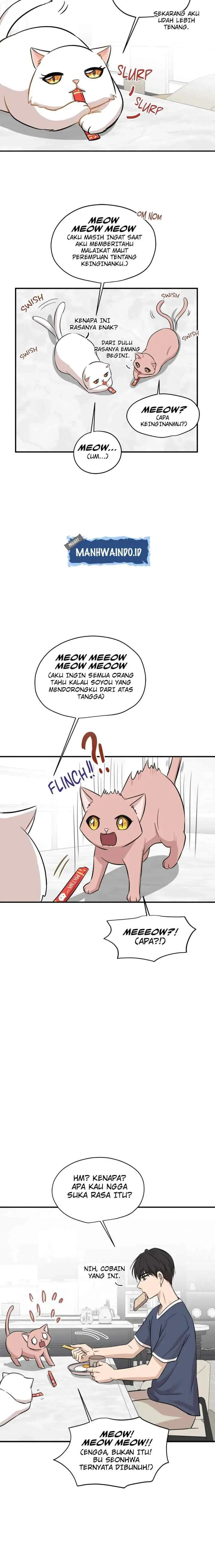 Just for a Meowment chapter 44 halaman 14