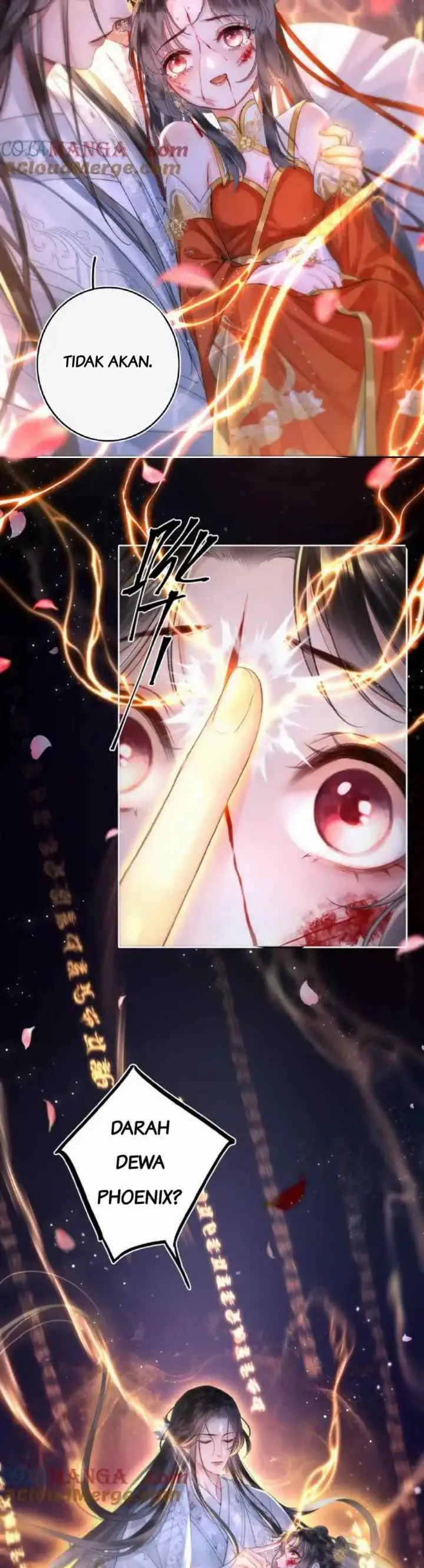 Dance of the Phoenix Queen chapter 0 halaman 13