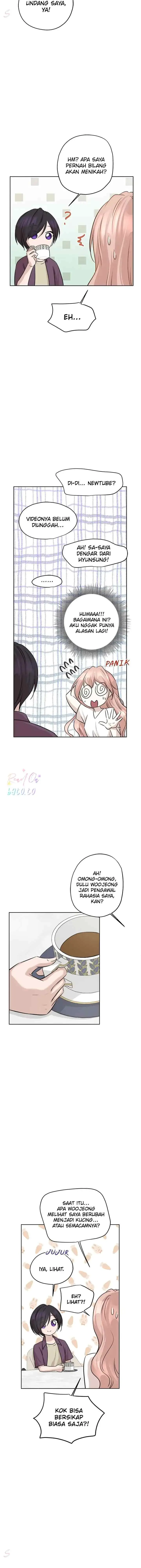 Just for a Meowment chapter 80 halaman 7