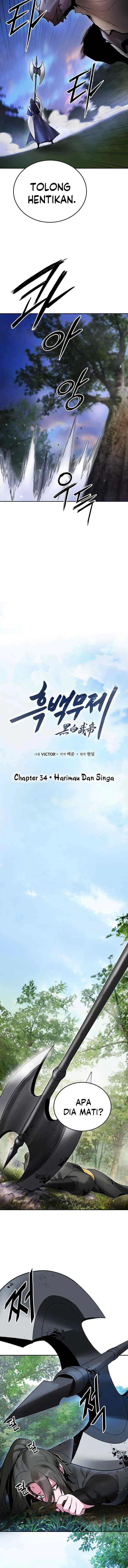 Dark and Light Martial Emperor chapter 34 halaman 11