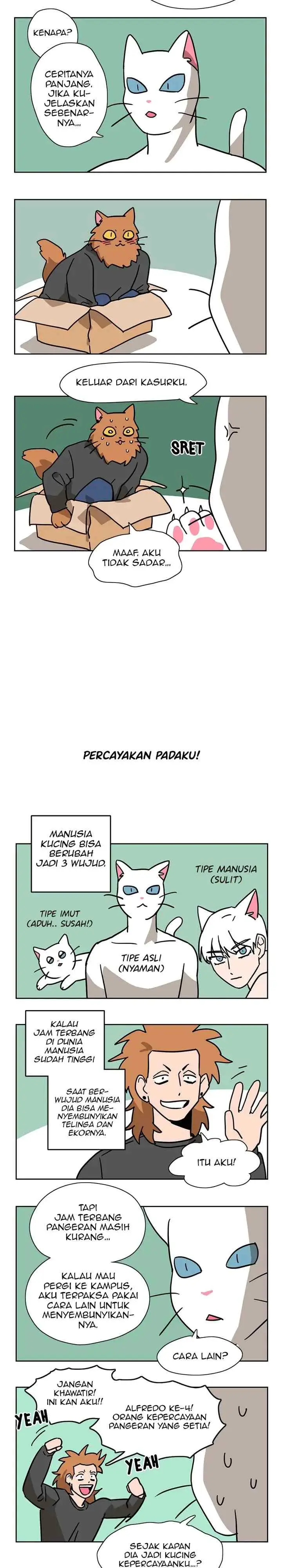 Meow Man chapter 4 halaman 6
