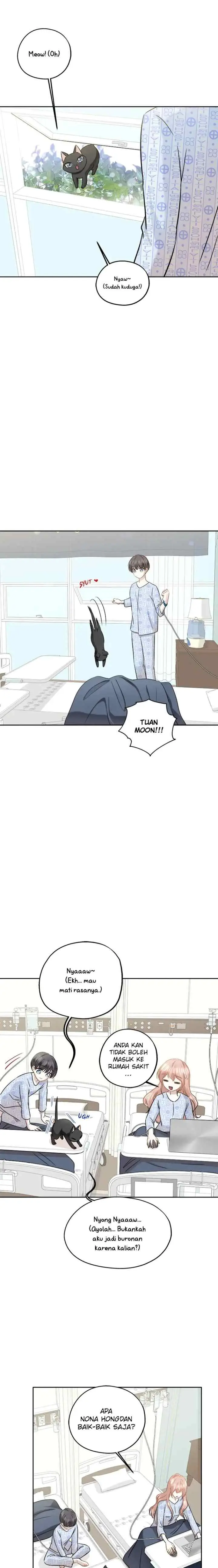 Just for a Meowment chapter 86 halaman 6