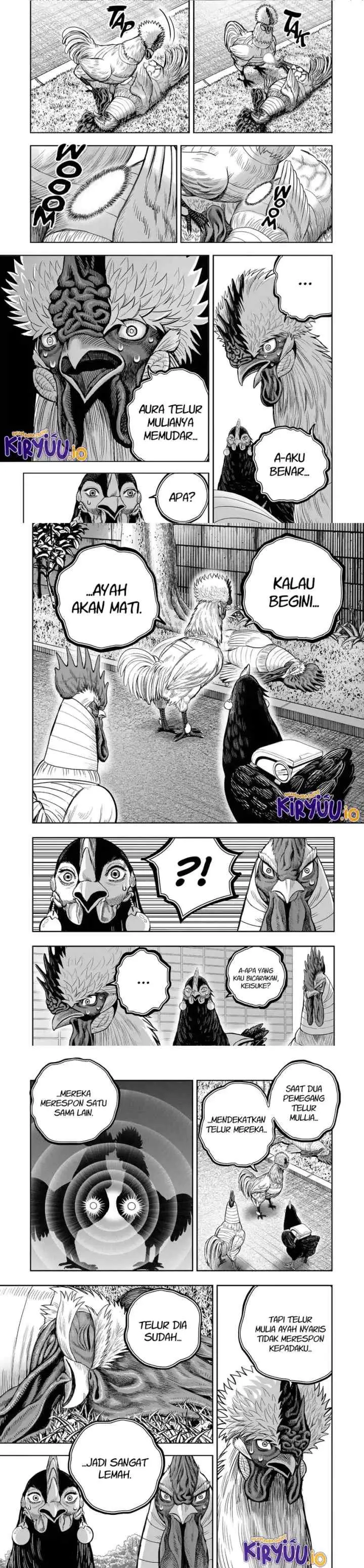 Rooster Fighter chapter 34 halaman 6