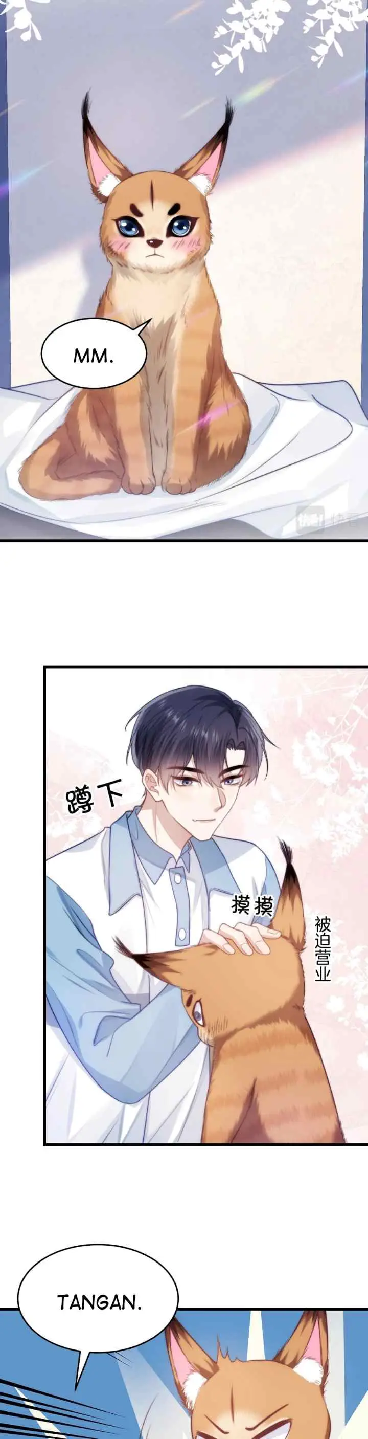 Little Cat Big Love chapter 9 halaman 5