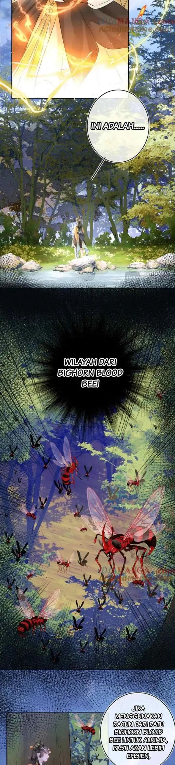 Dance of the Phoenix Queen chapter 3 halaman 14