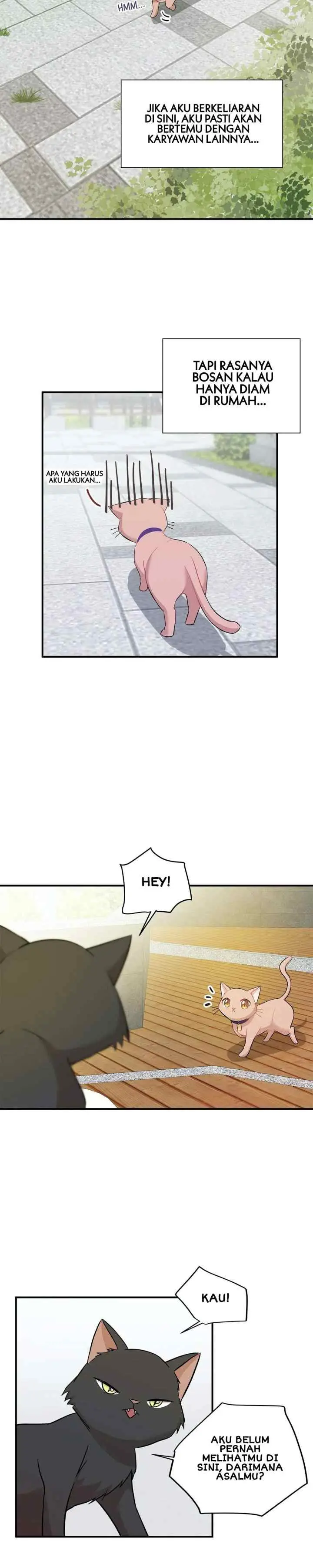 Just for a Meowment chapter 21 halaman 5