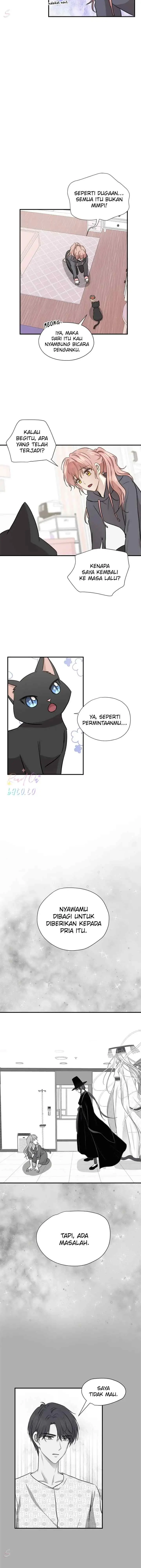 Just for a Meowment chapter 52 halaman 6
