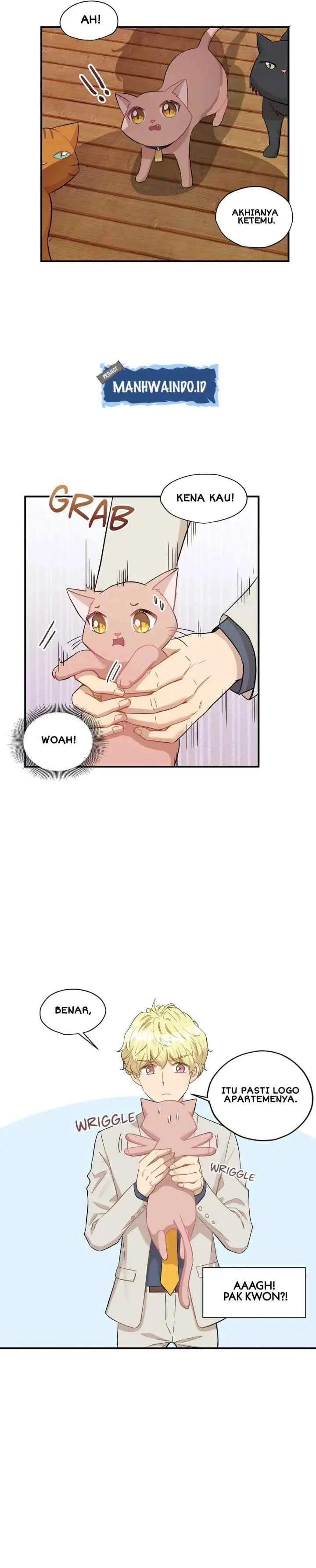 Just for a Meowment chapter 21 halaman 9