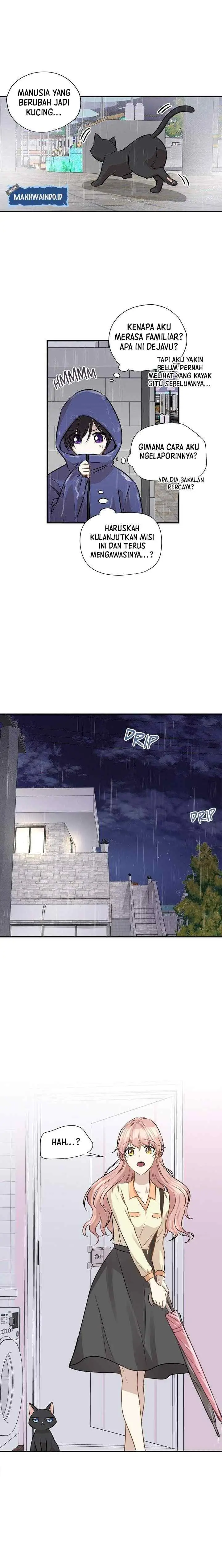 Just for a Meowment chapter 55 halaman 7