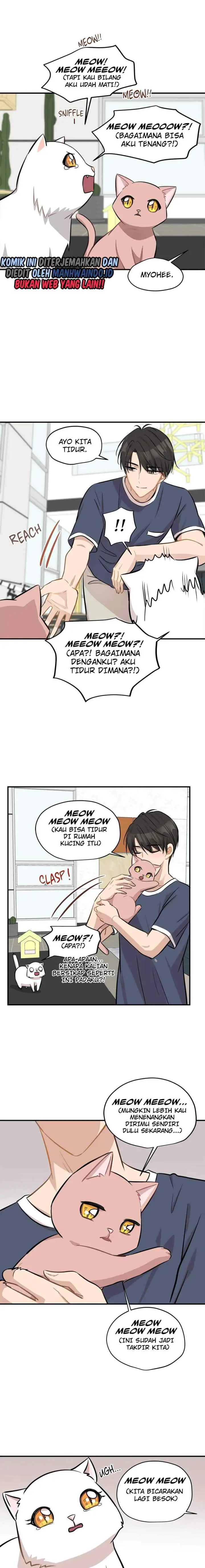Just for a Meowment chapter 44 halaman 7