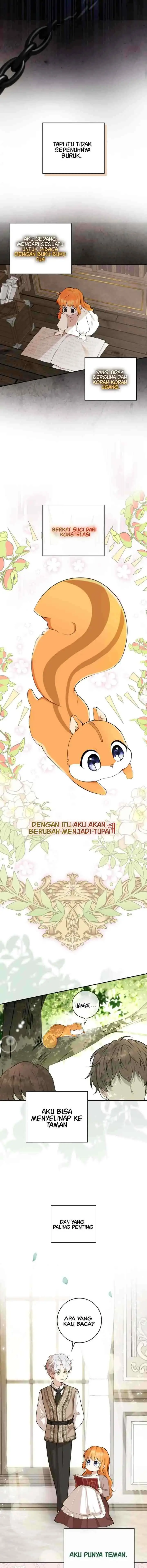 Baby Squirrel is Good at Everything chapter 1 halaman 14