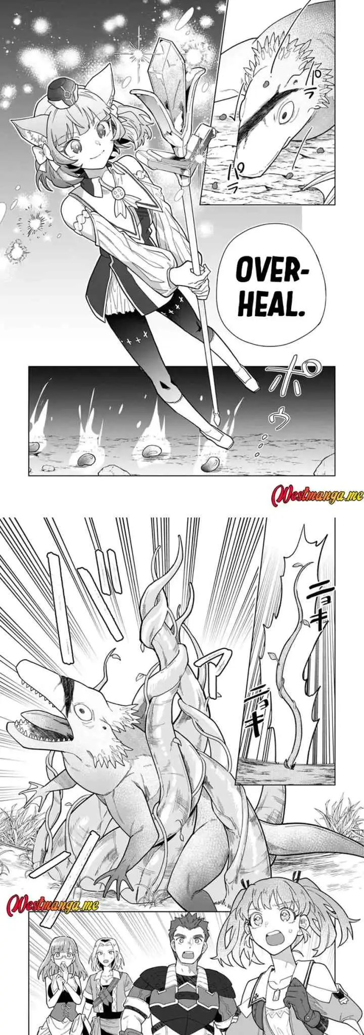 The White Mage Who Was Banished From the Hero's Party Is Picked up by an S Rank Adventurer ~ This White Mage Is Too Out of the Ordinary! chapter 47 halaman 13