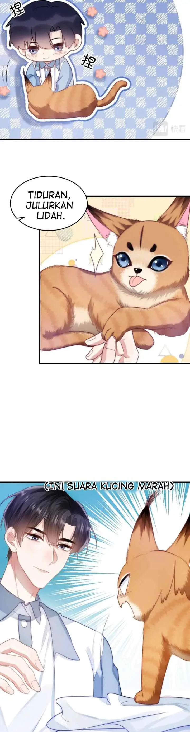 Little Cat Big Love chapter 9 halaman 7