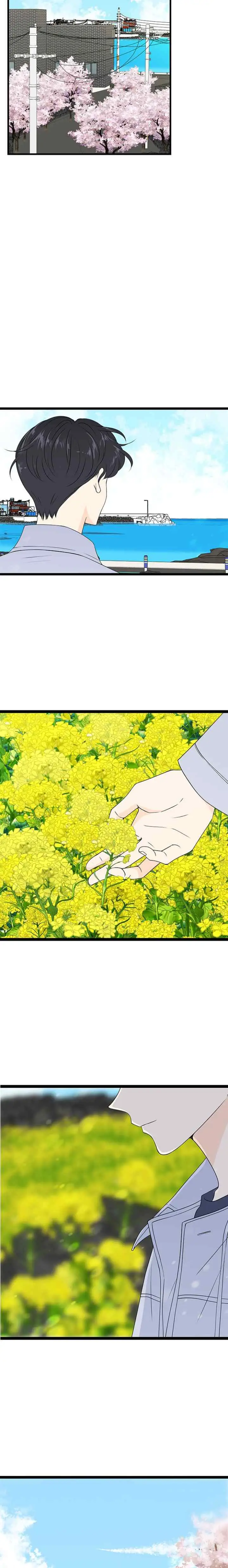 Early Morning Cinderella chapter 72 halaman 17