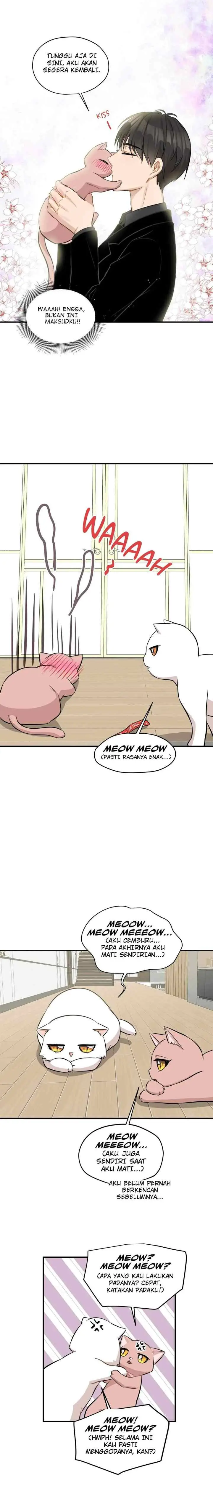 Just for a Meowment chapter 44 halaman 16