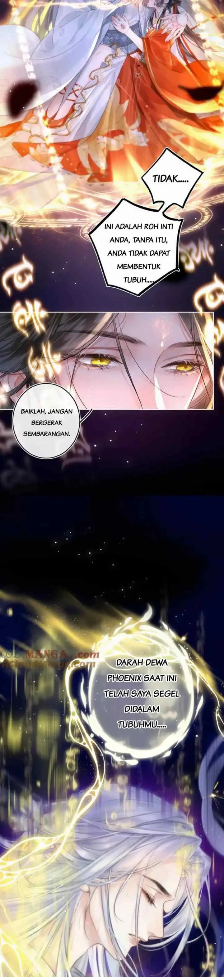 Dance of the Phoenix Queen chapter 0 halaman 14
